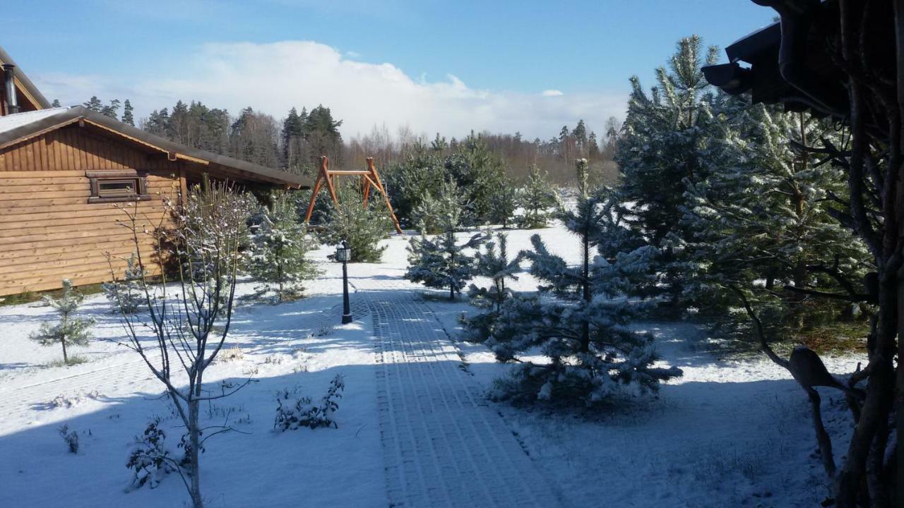 Viesu Maja Forrest Villa Dzimtmisa ภายนอก รูปภาพ